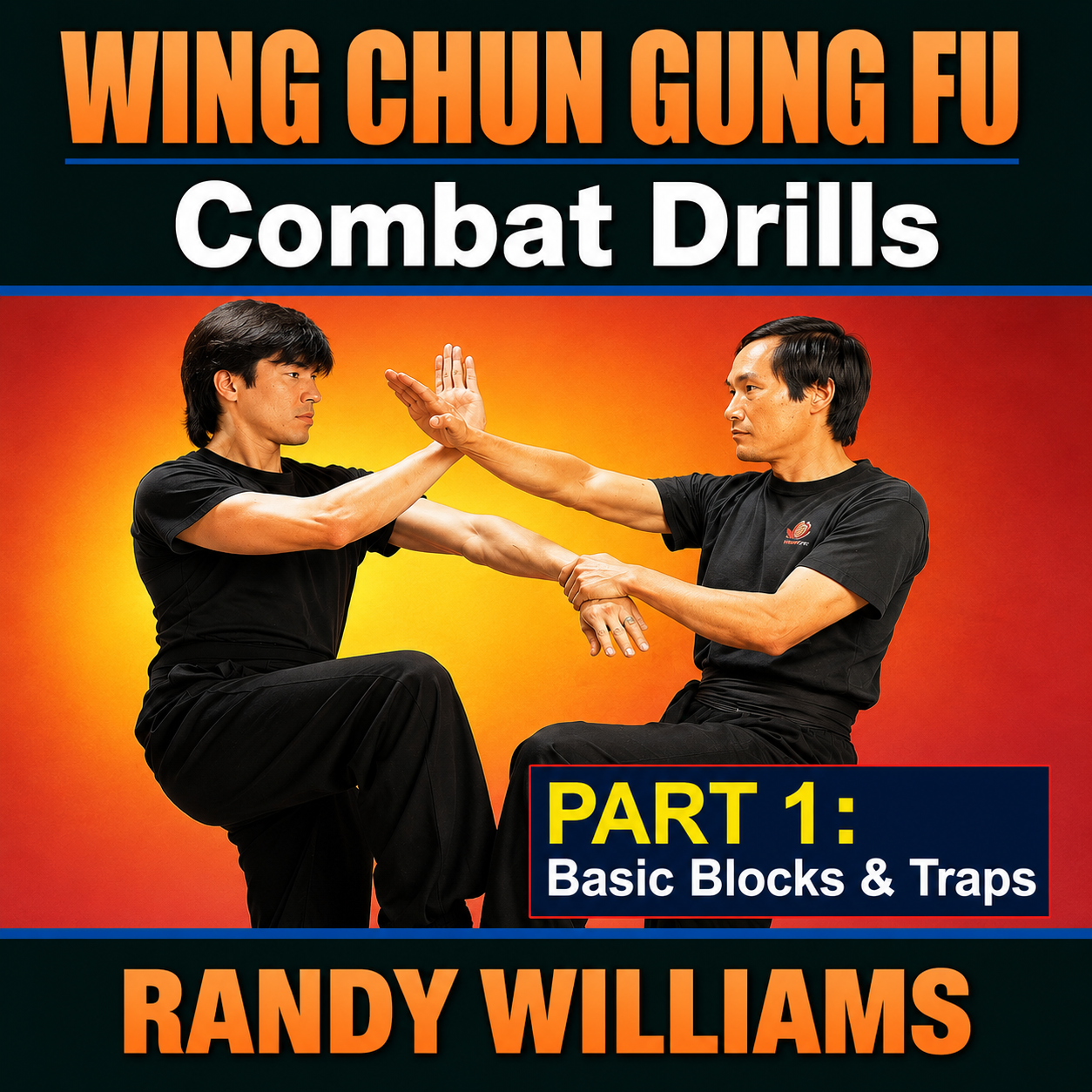Wing Chun Combat Drills 1 Basic by Randy Williams (On Demand)