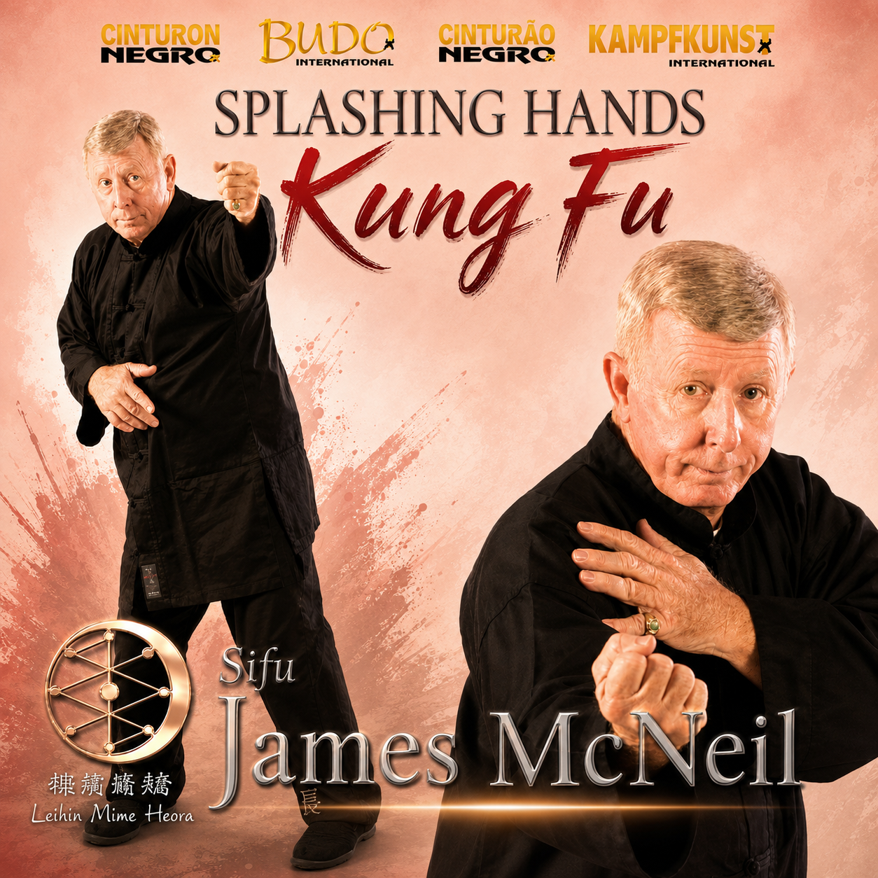 Kung Fu Splashing Hands by James McNeil (On Demand)