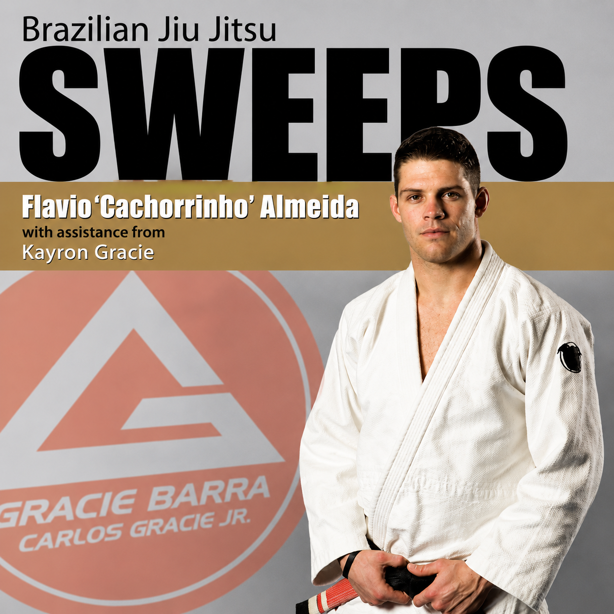 BJJ Sweeps by Flavio Almeida (On-demand)