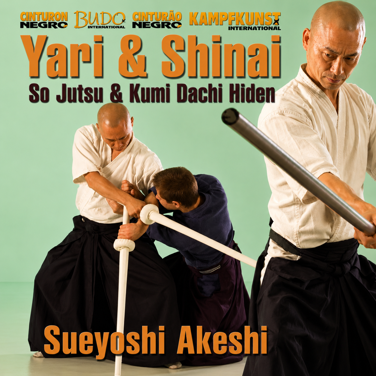 Yari and Shinai by Sueyoshi Akeshi (On Demand)