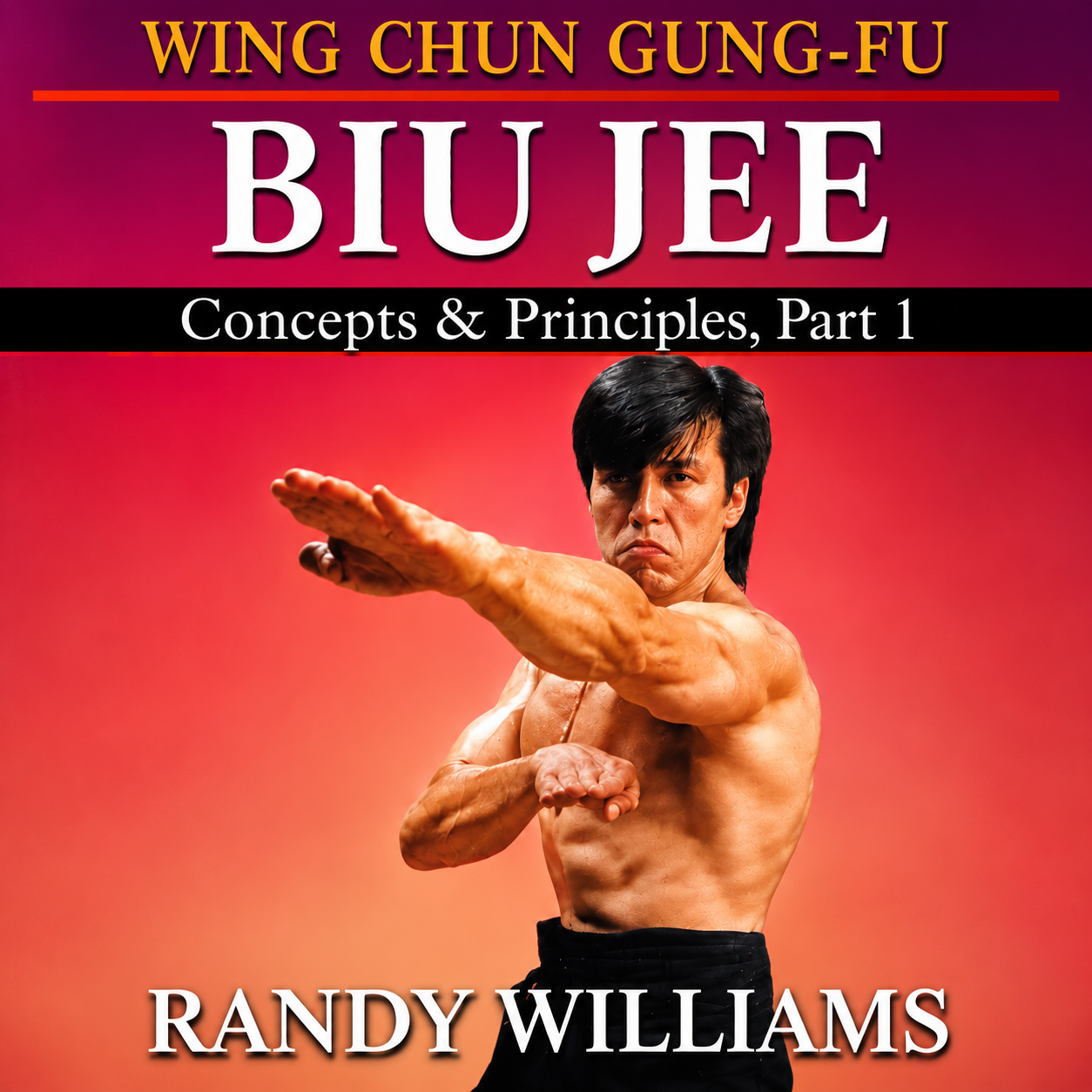 Wing Chun Biu Jee Concepts 1 by Randy Williams (On Demand)