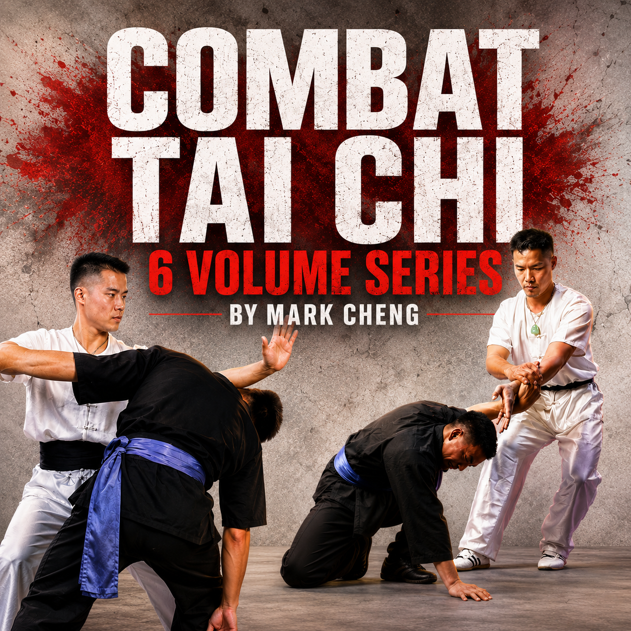 Combat Tai Chi 6 Volume Series by Mark Cheng (On Demand)