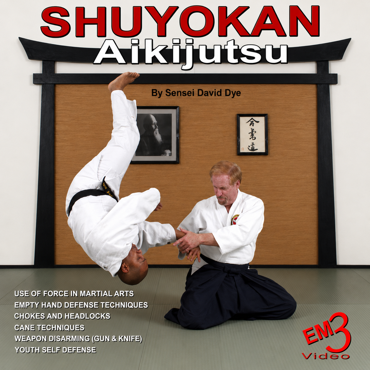 Shuyokan Aikijutsu by David Dye (On Demand)
