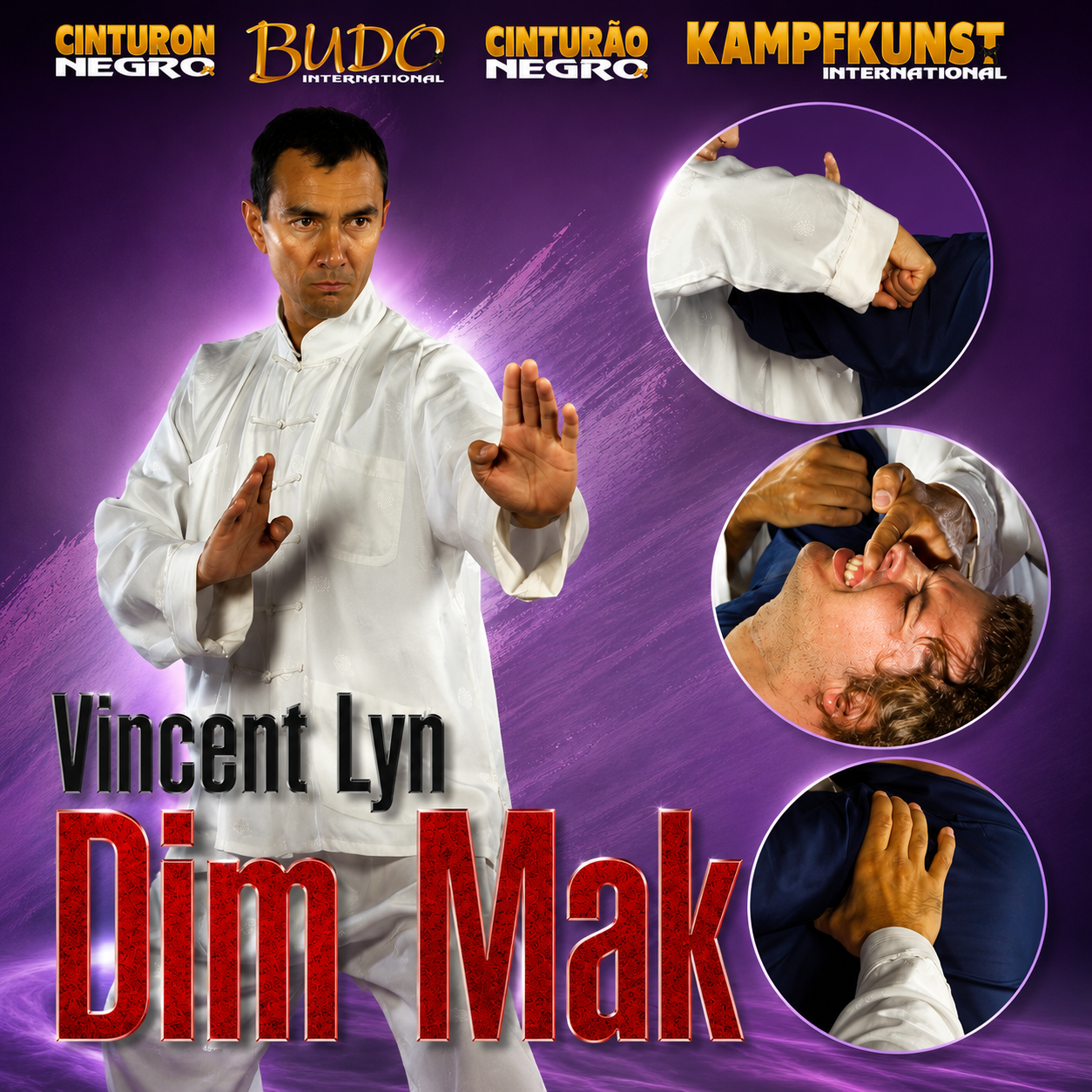 Ling Gar Kung Fu Dim Mak by Vincent Lyn (On Demand)