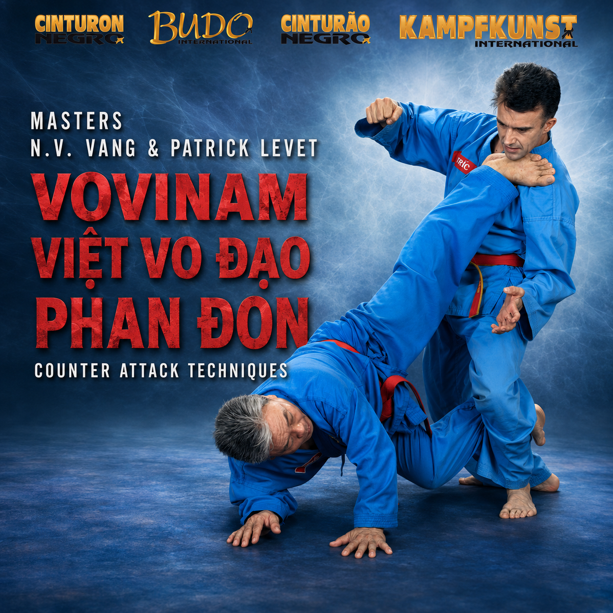 Viet Vo Dao Phan Don Counter Techniques (On Demand)