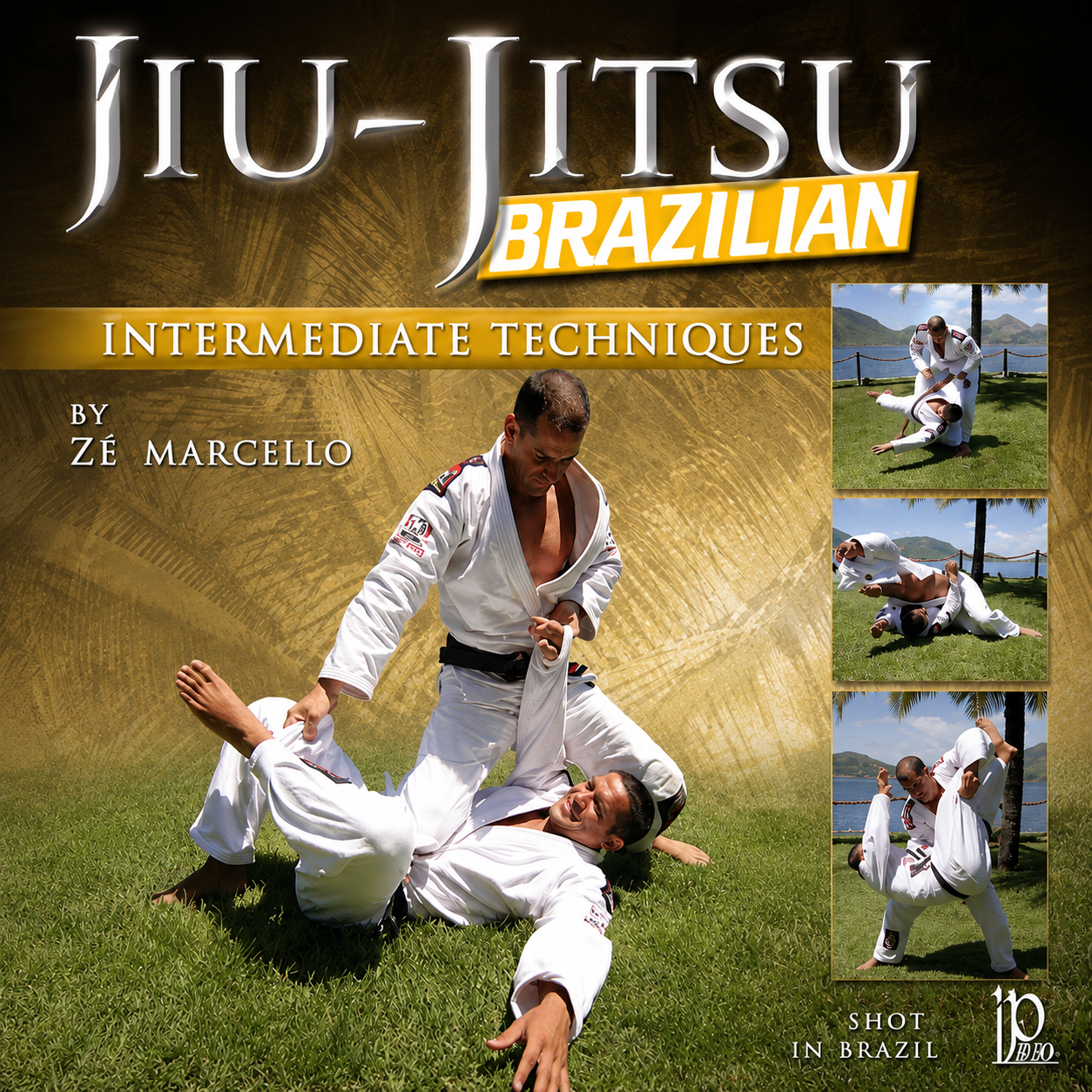 BJJ Intermediate Techniques by Ze Marcello (On Demand)