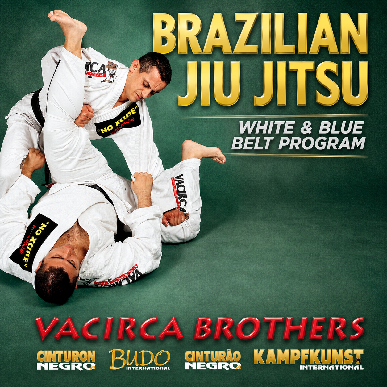 Vacirca Brothers BJJ White to Blue Belt Program (On Demand)