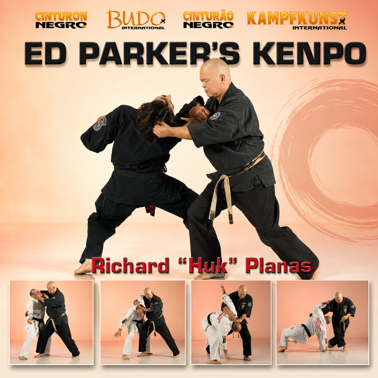 Kenpo Golden Rules by Richard Planas (On Demand)