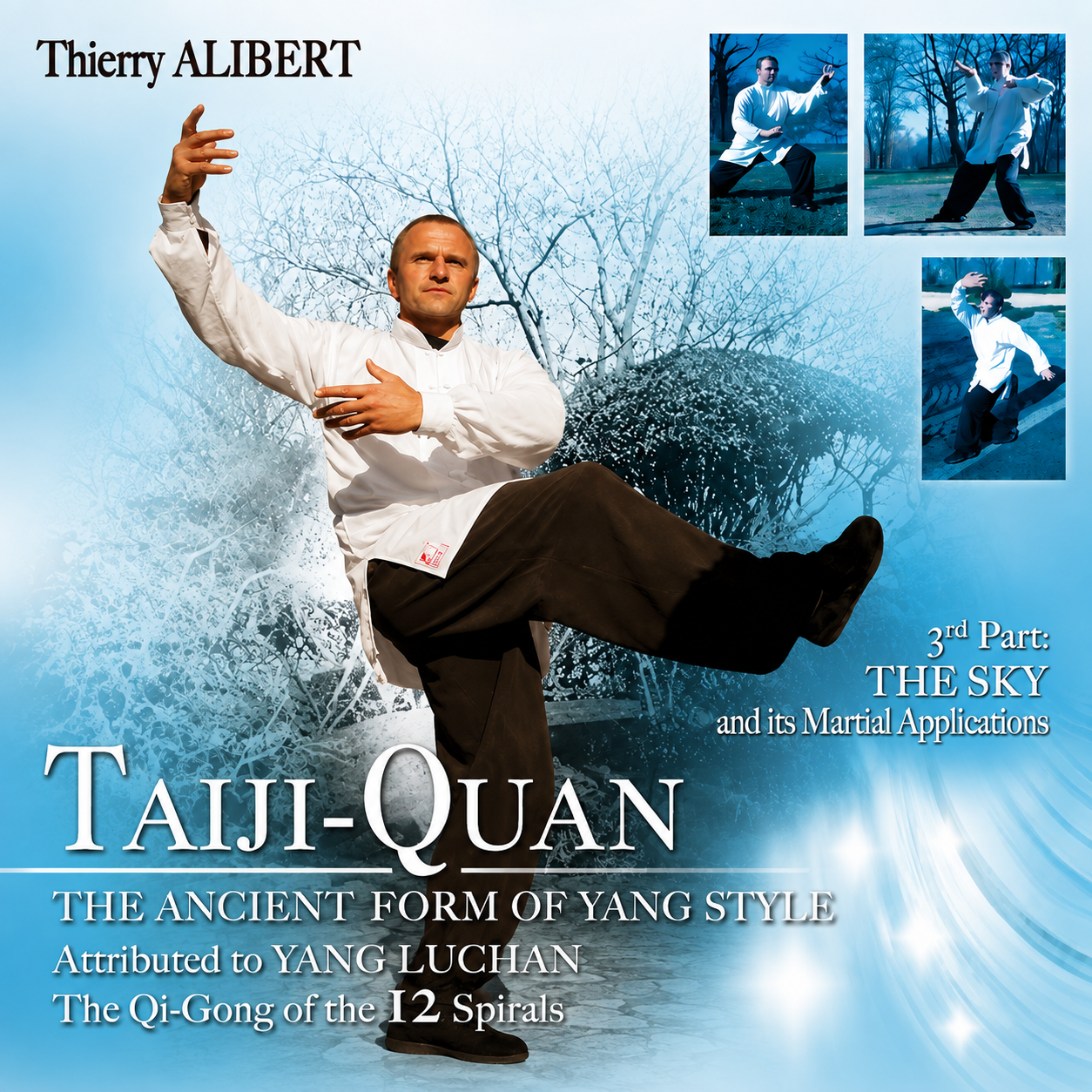 Yang Style Taiji-Quan Vol 3 by Thierry Alibert (On Demand)
