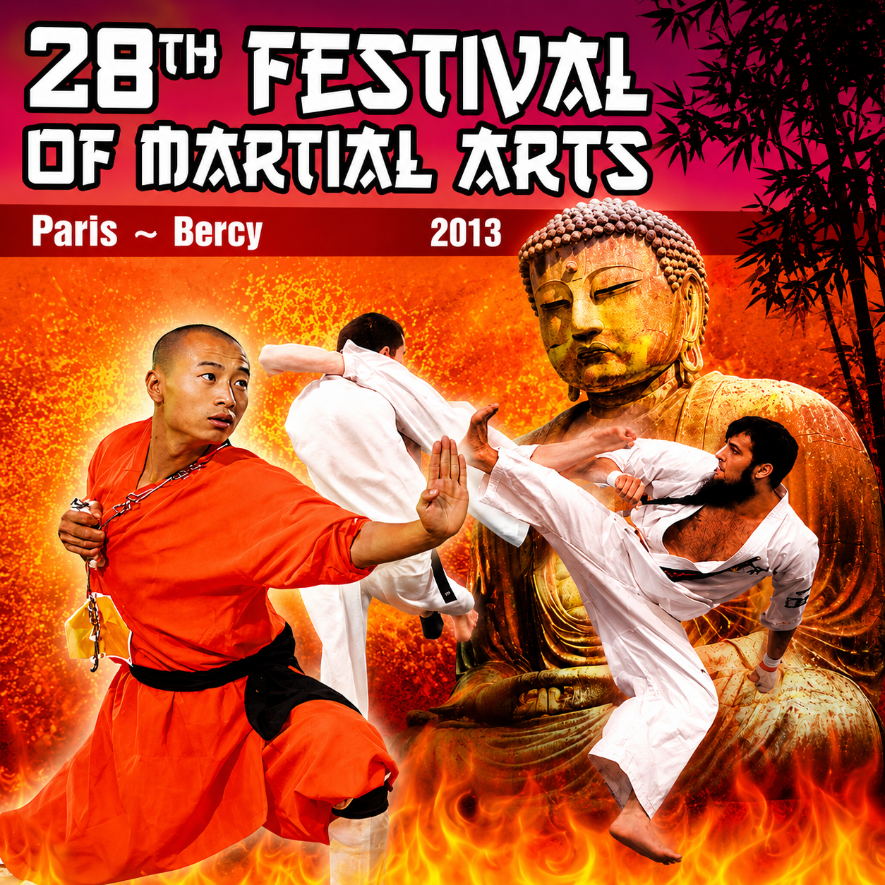 28th Festival of Martial Arts Paris 2013 (On Demand)