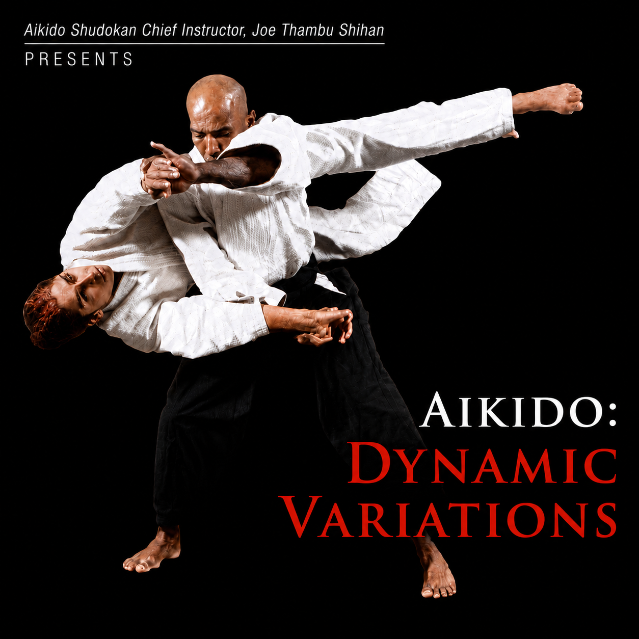 Aikido: Dynamic Variations by Joe Thambu (On Demand)