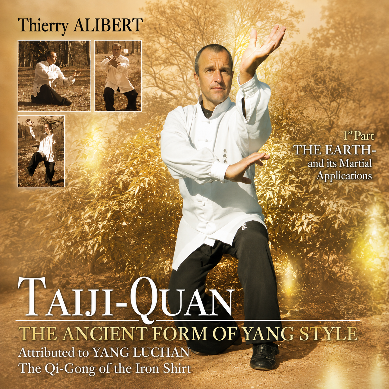 Yang Style Taiji-Quan Vol 1 by Thierry Alibert (On Demand)