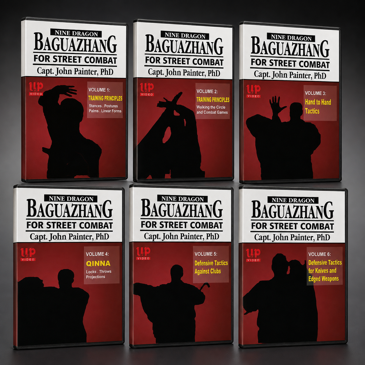Nine Dragon Baguazhang For Street Combat 6 DVD Set with John Painter