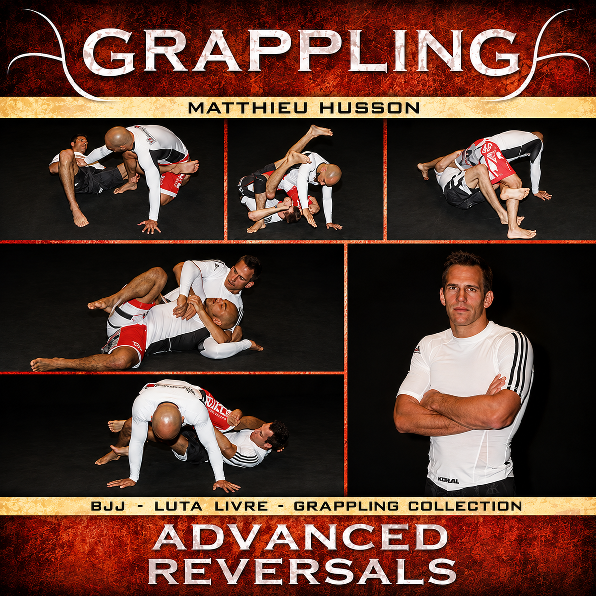 Grappling Advanced Reversals By Matthieu Husson (On Demand)