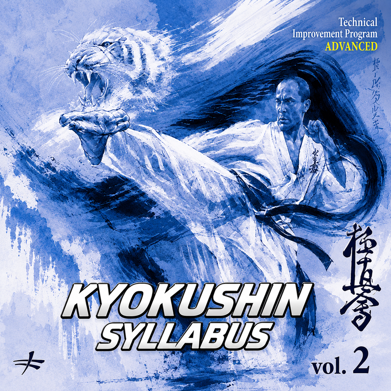 Kyokushin Kai Karate Syllabus Vol 2 Bertrand Kron (On Demand)