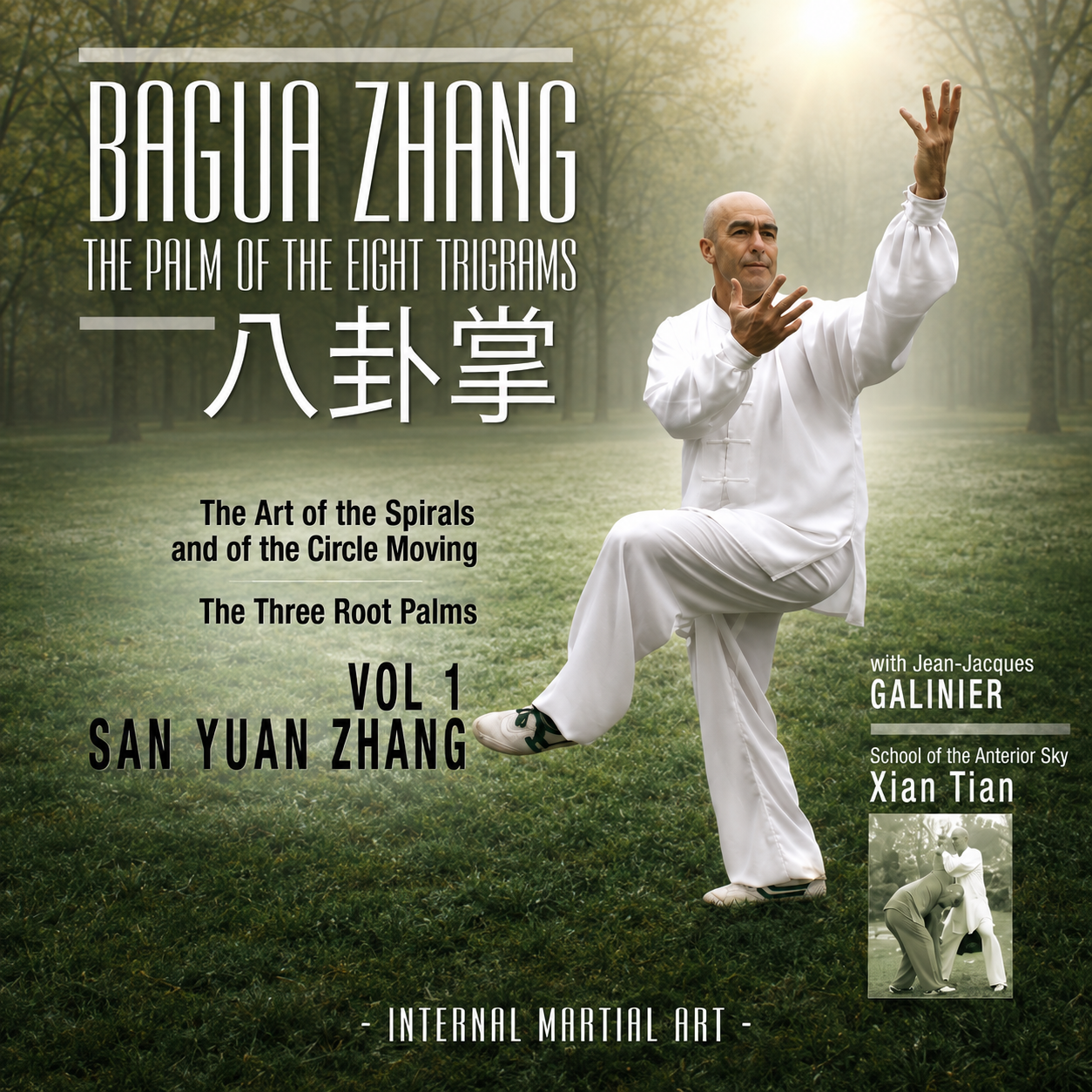 Bagua Zhang San Yuan Zhang Jean-Jacques Galinier (On Demand)