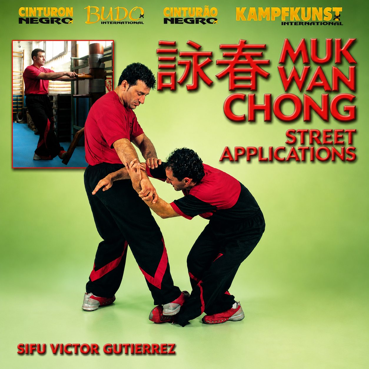 Wing Tsun Wooden Dummy Street Applications (On Demand)