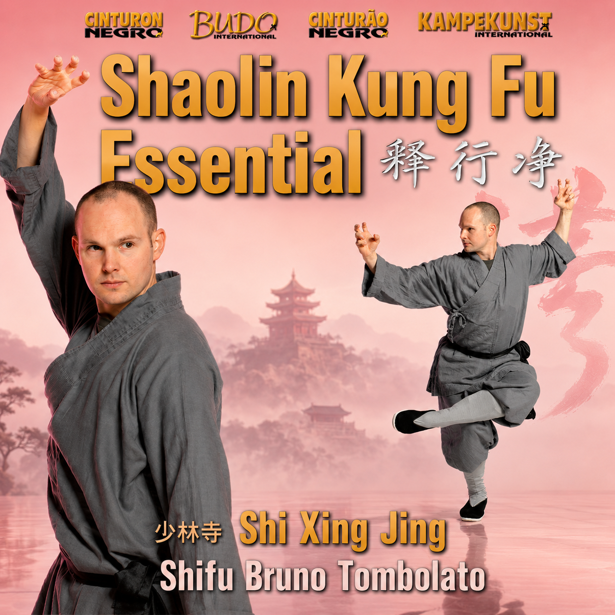 Essential Shaolin Kung Fu by Bruno Tombolato (On Demand)