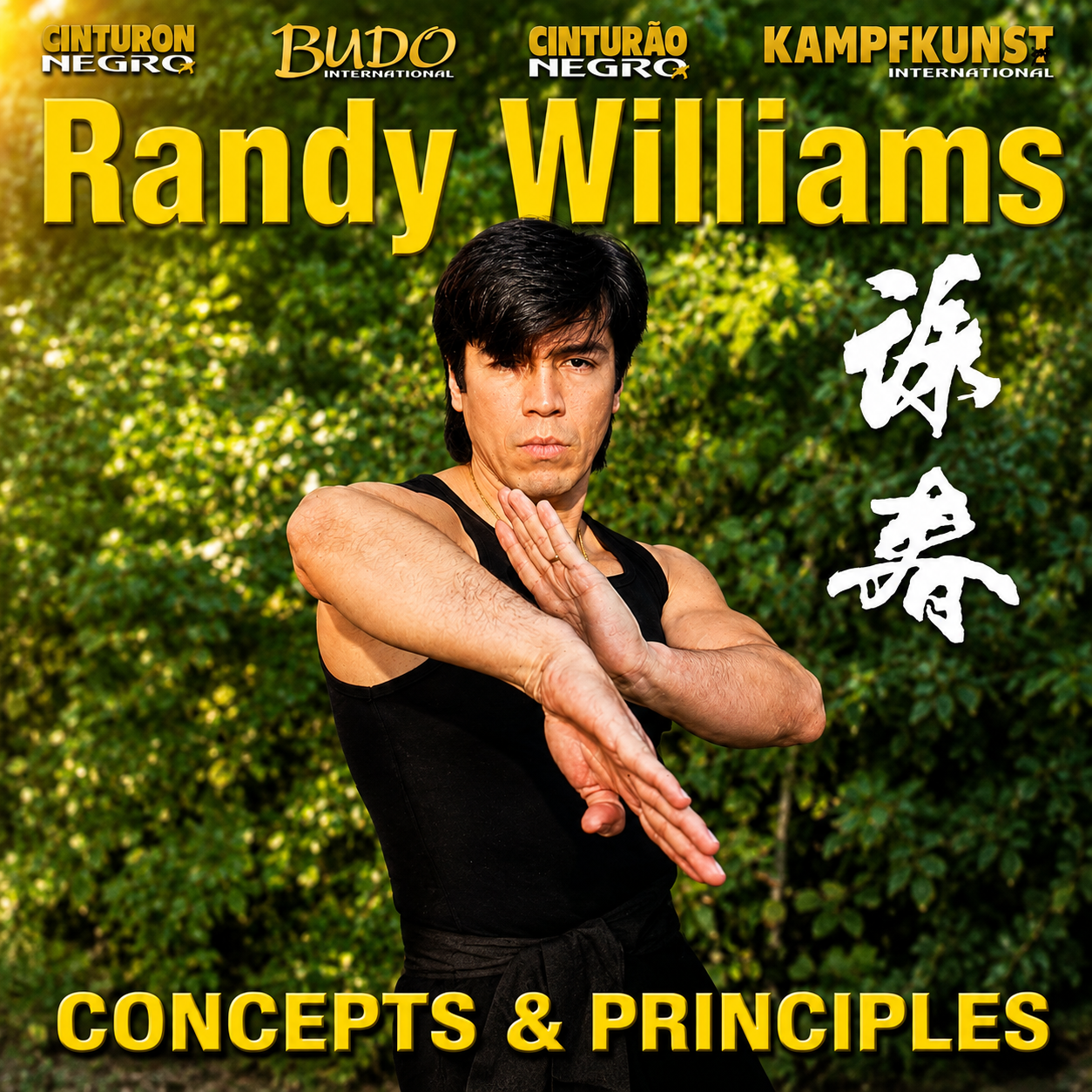 Wing Chun Kung Fu Concepts and Principles (On Demand)