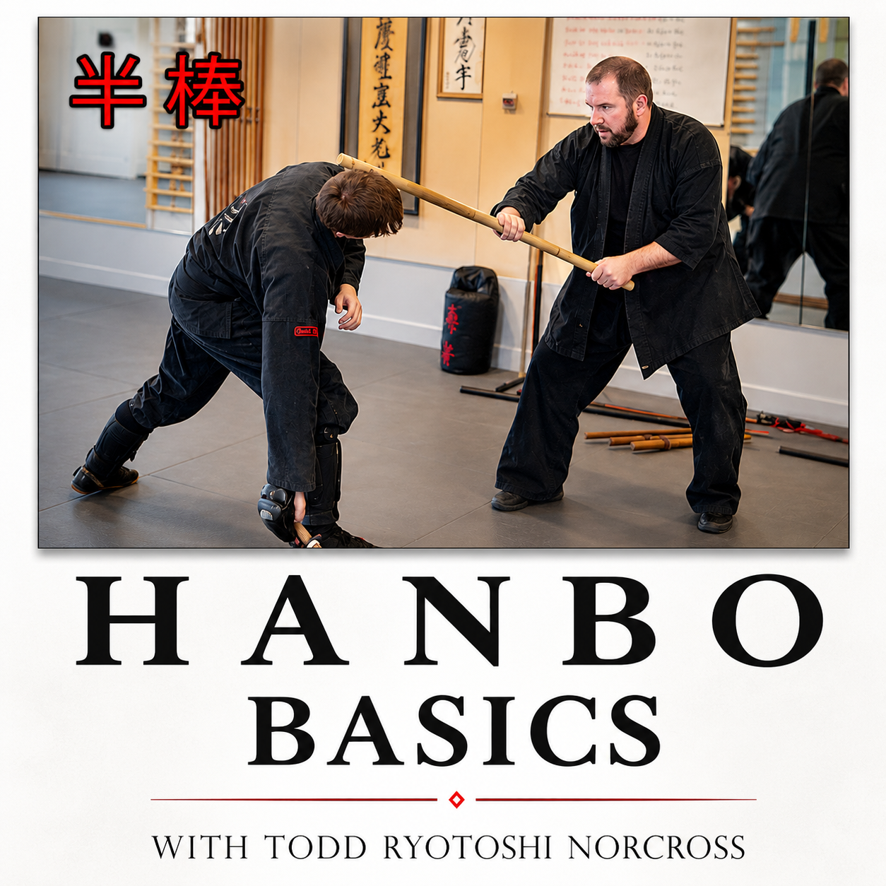 Hanbo Basics by Todd Norcross (On Demand)