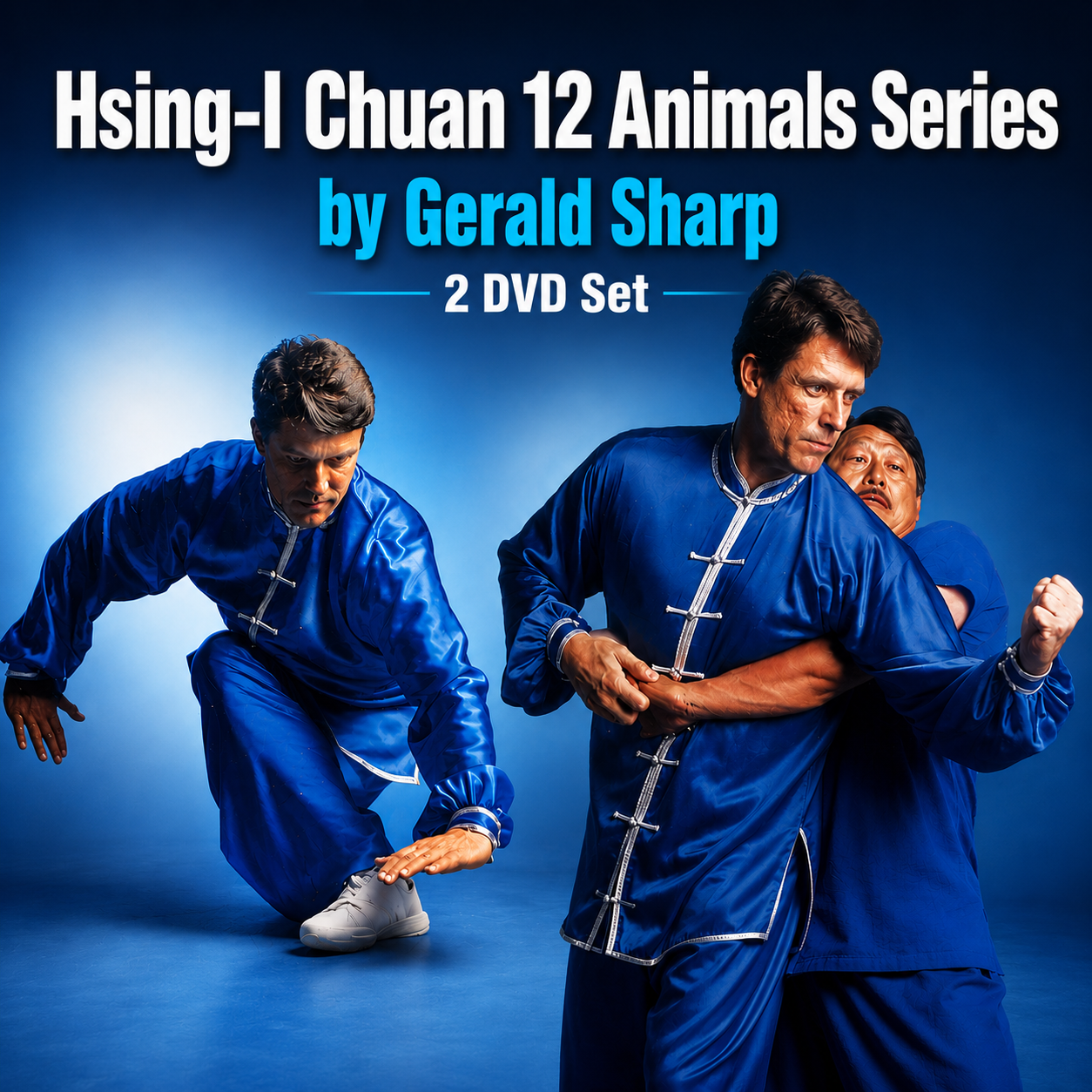 Hsing-I Chuan 12 Animals 2 DVD Set by Gerald Sharp