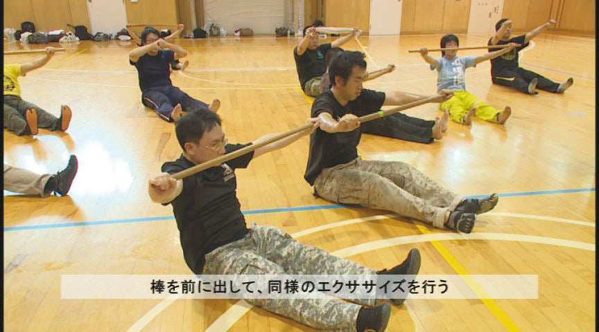 Systema: Return to the Source DVD by Alexander Andreichenkov