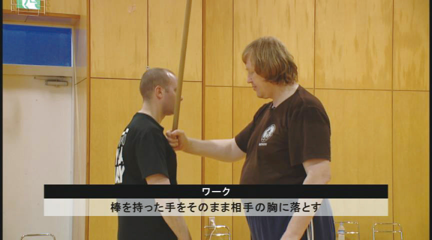 Systema: Return to the Source DVD by Alexander Andreichenkov