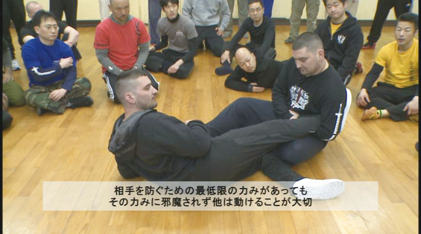 Systema Twins: Tension Control & Power on the Move DVD by Adam & Brendon Zettler