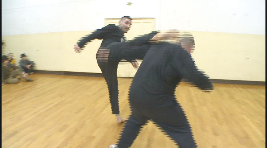 Systema Twins: Tension Control & Power on the Move DVD by Adam & Brendon Zettler