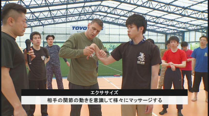 Systema: The Third Weapon DVD by Max Franz