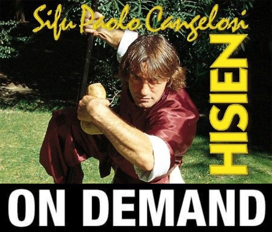 Tsui Pa Hsien Kung Fu Drunken Style with Paolo Cangelosi (On Demand) - Budovideos