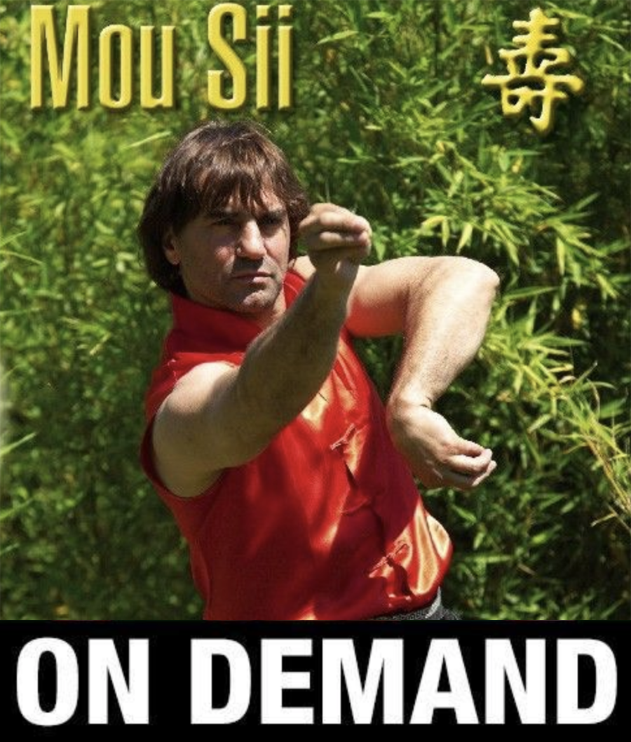 Kung Fu Mou Sii Lion Dance with Paulo Cangelosi (On Demand) - Budovideos