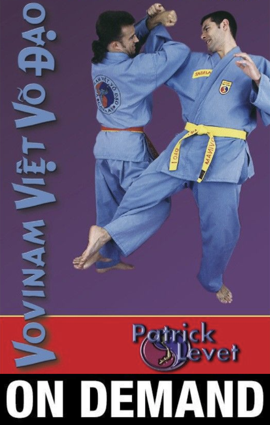 Vovinam Viet Vo Dao Vol 1 with Patrick Levet (On Demand) - Budovideos