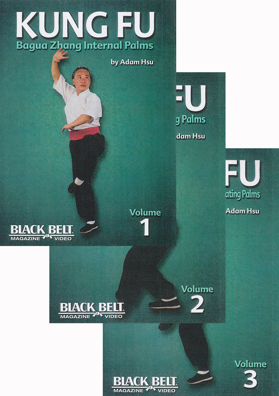 Kung Fu Baguazhang 3 DVD Set by Adam Hsu (Preowned) - Budovideos