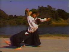 Mastering Ki Society Aikido 6 DVD Set with Ken Ota - Budovideos Inc
