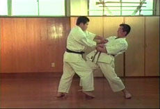 Goju Ryu Karate Kata DVD by Morio Higaonna - Budovideos Inc