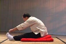 Eight Simple Qigong Exercises for Health DVD with Dr. Yang, Jwing Ming - Budovideos Inc