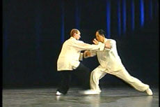 Tai Chi Chuan Classical Yang Style DVD with Dr. Yang, Jwing-Ming - Budovideos Inc