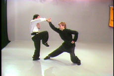 Shaolin Long Fist Kung Fu Basic Sequences DVD with Dr. Yang, Jwing Ming - Budovideos Inc