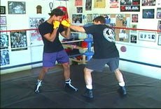 Ultimate Boxing 8 DVD Set with Chris Getz - Budovideos Inc