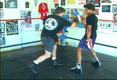 Ultimate Boxing 8 DVD Set with Chris Getz - Budovideos Inc