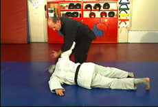 Hapkido Ultimate Self Defense DVD Set with Steve Sexton - Budovideos Inc