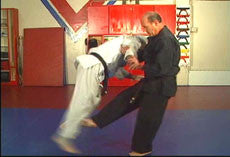 Hapkido Ultimate Self Defense DVD Set with Steve Sexton - Budovideos Inc