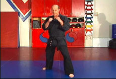 Hapkido Ultimate Self Defense DVD Set with Steve Sexton - Budovideos Inc