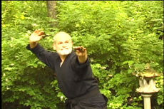 Togakure Ryu Senban Shurikenjutsu Kihon DVD with Stephen Hayes - Budovideos Inc