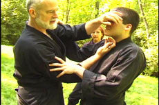 Togakure Ryu Senban Shurikenjutsu Kihon DVD with Stephen Hayes - Budovideos Inc