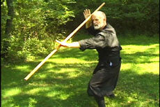 Toshindo Bojutsu Fundamentals DVD by Stephen Hayes - Budovideos Inc