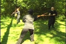 Toshindo Bojutsu Fundamentals DVD by Stephen Hayes - Budovideos Inc