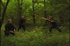 Toshindo Bojutsu Fundamentals DVD by Stephen Hayes - Budovideos Inc