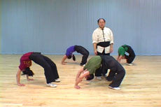 Shaolin Fundamental Training DVD with Dr. Yang, Jwing Ming - Budovideos Inc